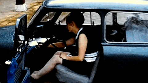 Preview of film and photos being digitized