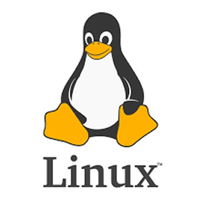 Install Linux