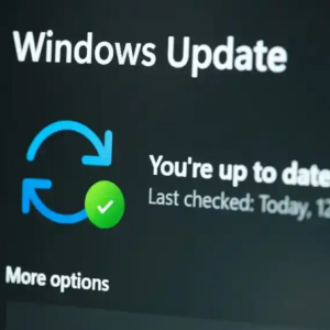 Software Installation